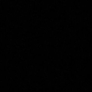 Meet your Posher, Weslynn